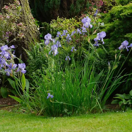 Hébergement de vacances Crow House Barn Copgrove